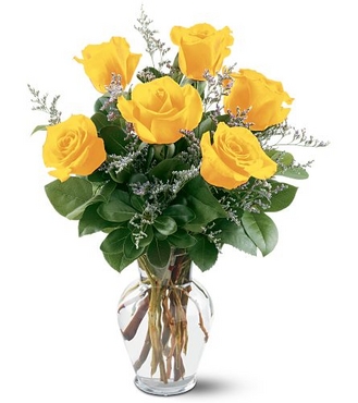 6-Yellow-Roses.jpg