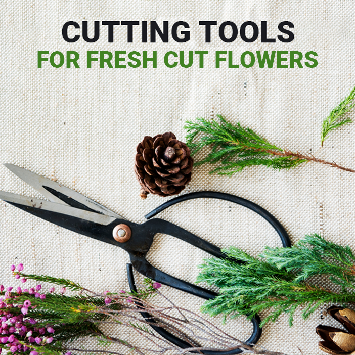 Choosing the Perfect Cutting Tool for Fresh Cut Flowers: A Comprehensive Guide