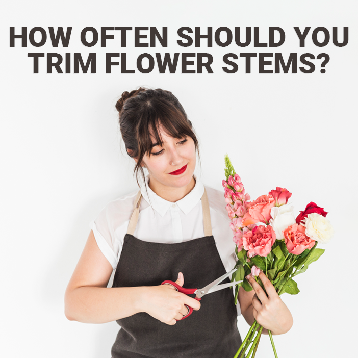 Maximizing Freshness: How Often Should You Trim Flower Stems?