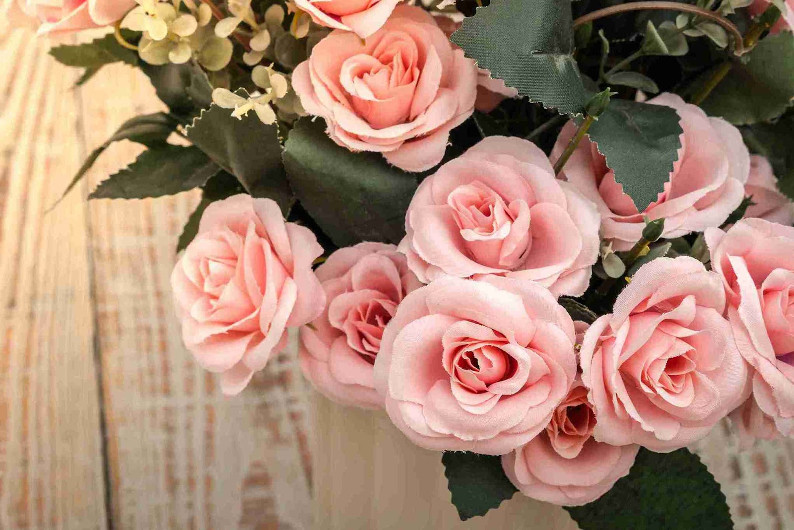 وردة وردية عن قرب