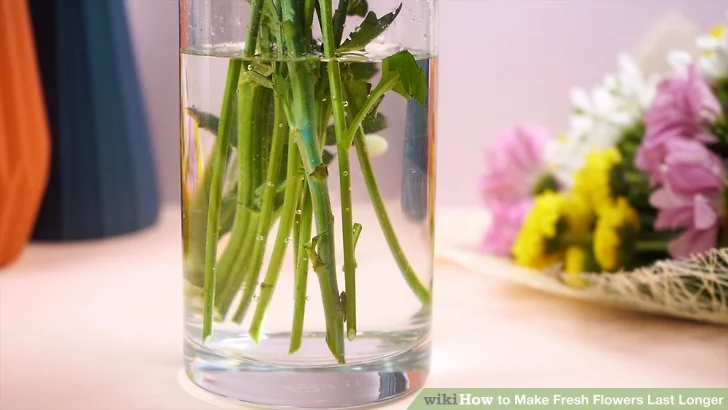 أزهار في مزهرية مملوءة بالماء