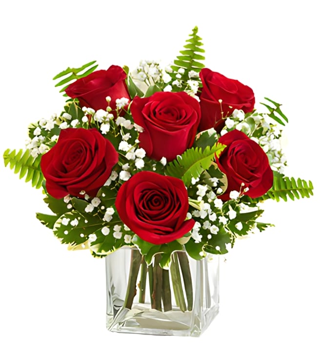 ورود عناق الحب - أحمر، تعاطف