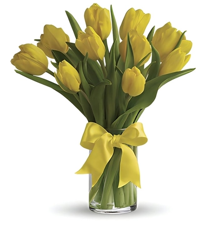 Sunny Yellow Tulips, Tulips