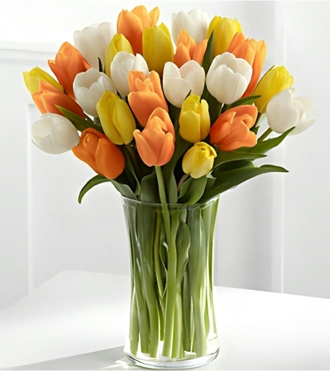 زهور التوليب الصيفية، توصيل الهدايا خلال ساعة واحدة