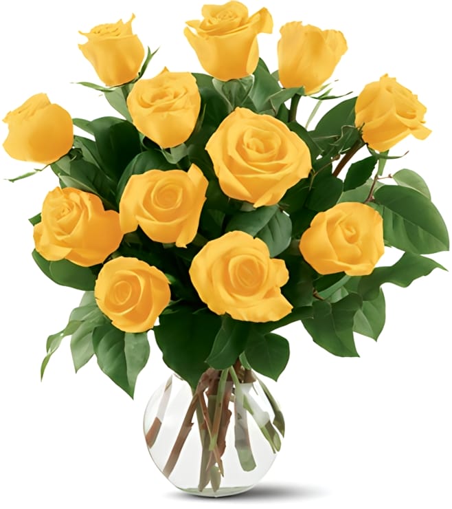 12 Yellow Roses, Flowers
