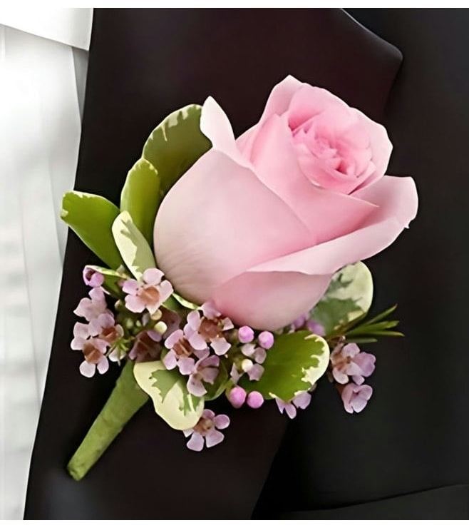 جاهز للكمال بوتونيير