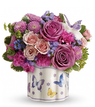 مجموعة عيد ميلاد حقل الفراشات