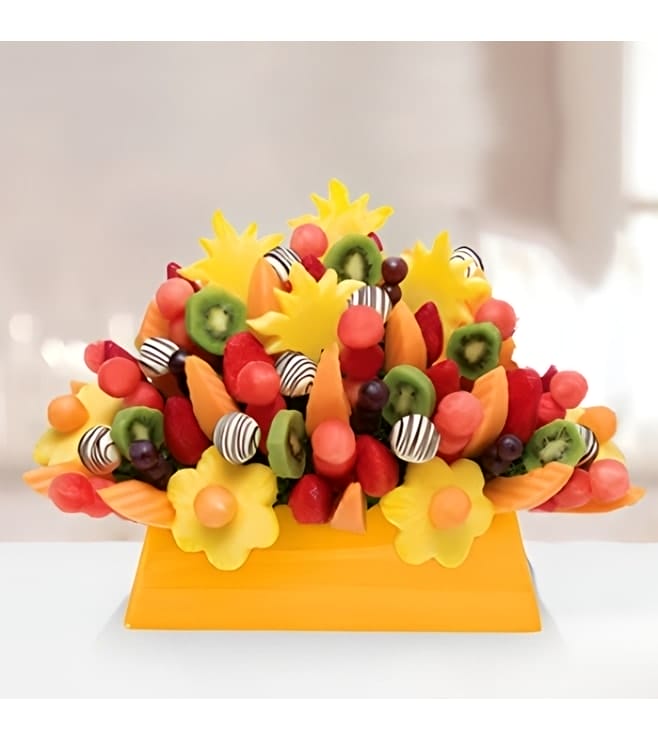 حفلة ترفيهية