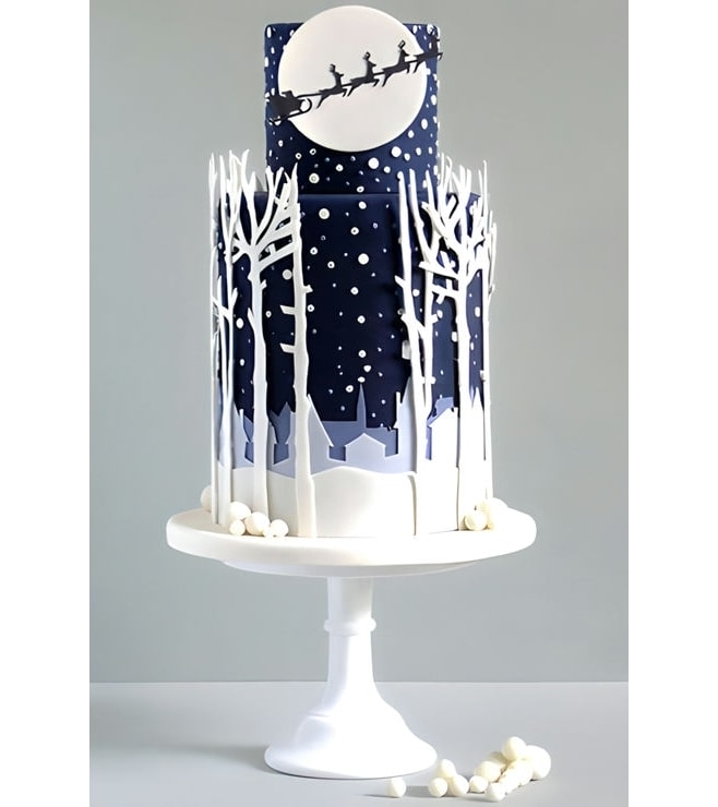 كعكة عيد الميلاد "ليلة النجوم"، كعكات ثلاثية الأبعاد