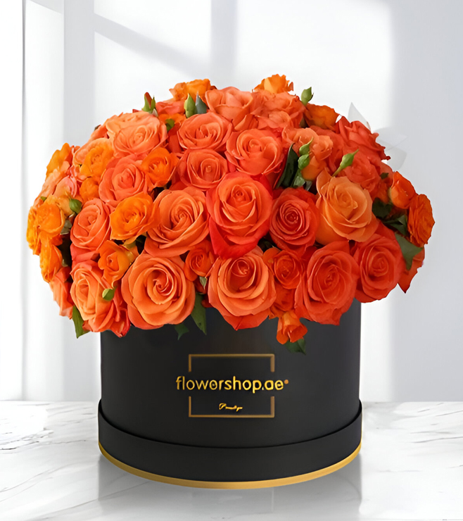 صندوق قبعات صن رايز سيرينيتي