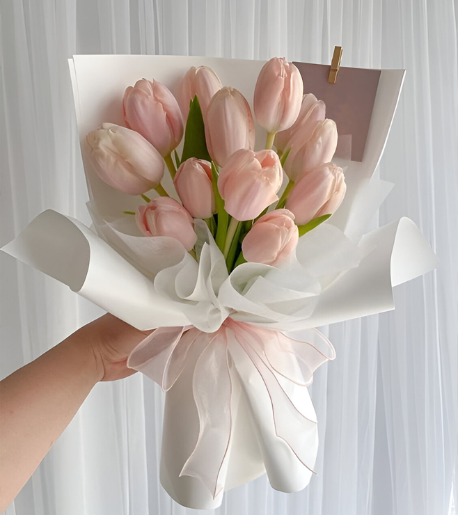 زهور التوليب الوردية الرقيقة