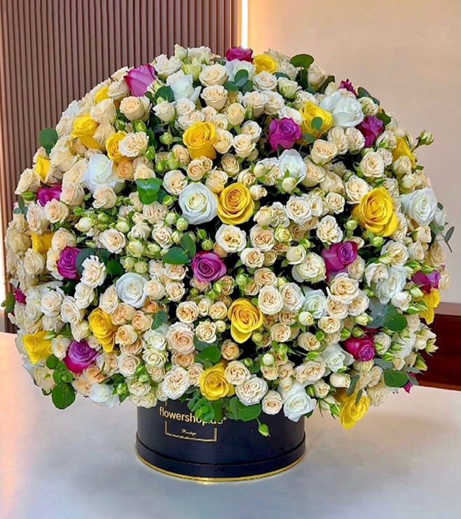 صندوق قبعات راديانت ميدوز