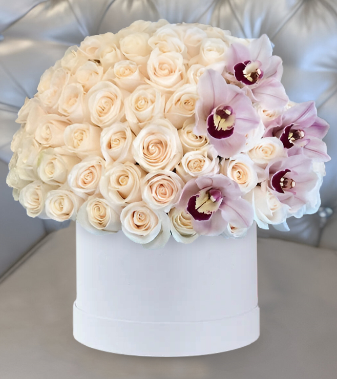 صندوق قبعات سوبليم سبليندور