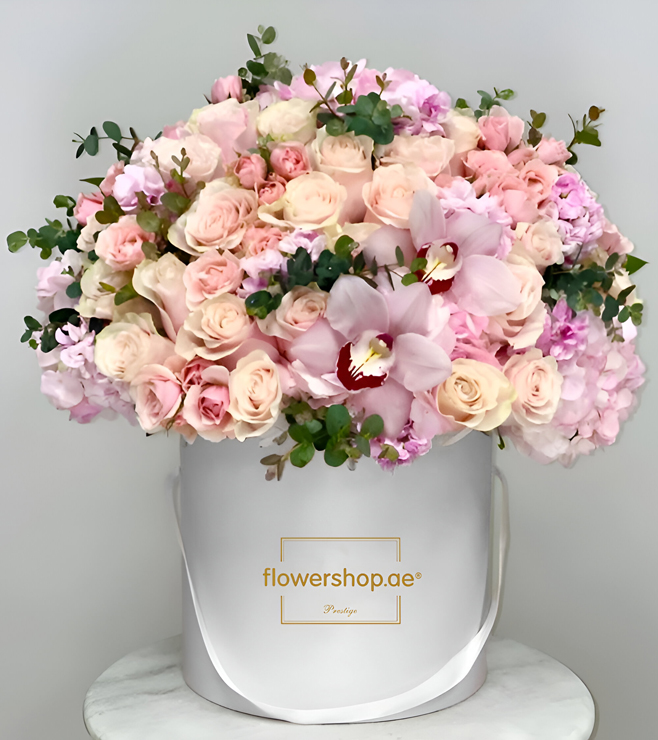 صندوق القبعات الساحر الغامض