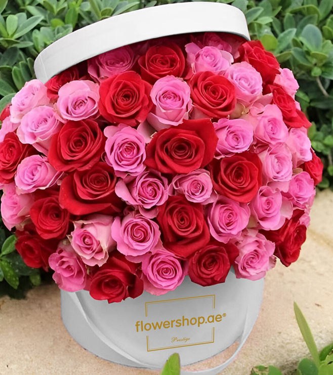 صندوق قبعات باللونين الأحمر والوردي