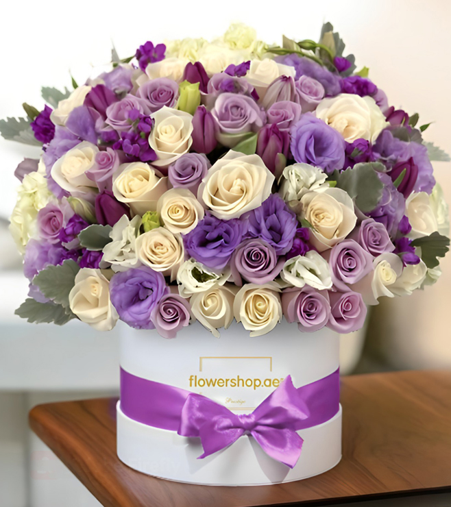 صندوق قبعات سيمفوني أيقوني، مجموعة فاخرة