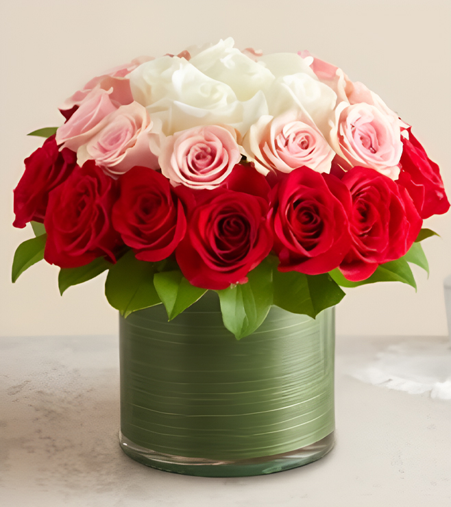 تناغم الوردة القرمزية