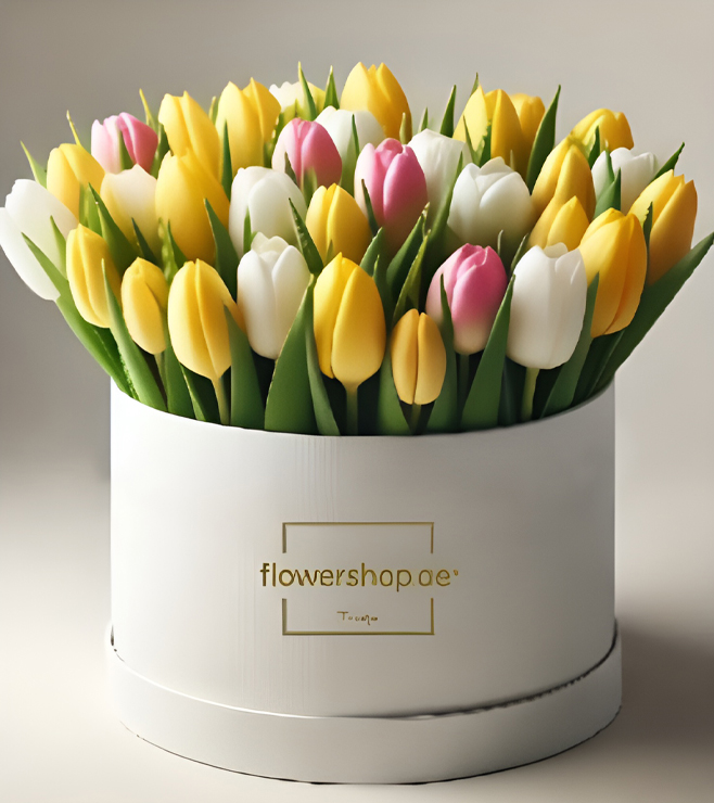 صندوق قبعات حديقة التوليب، نتمنى لك الشفاء العاجل