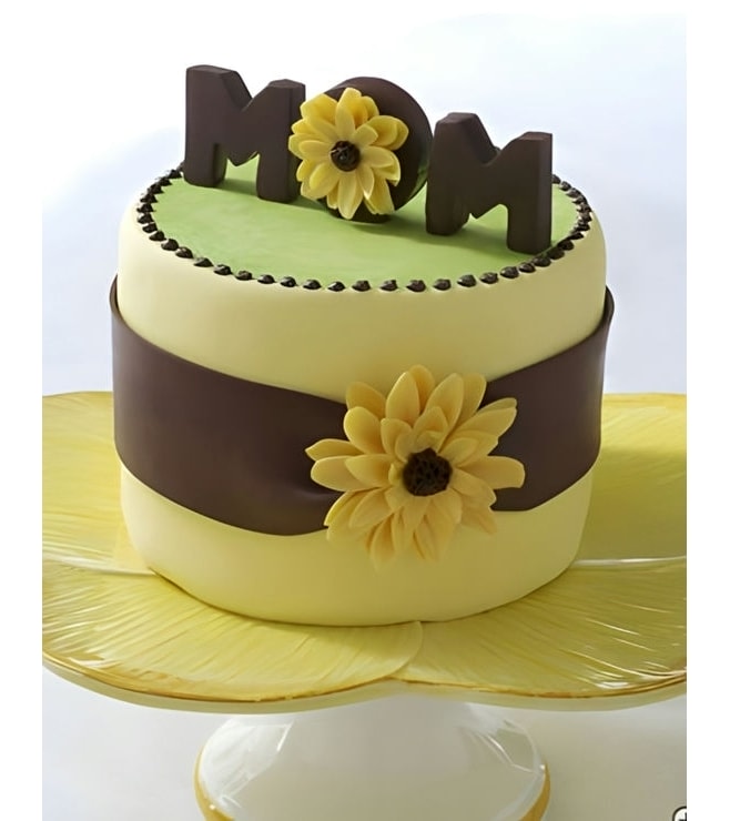 كعكة أشعة الشمس في حياتنا