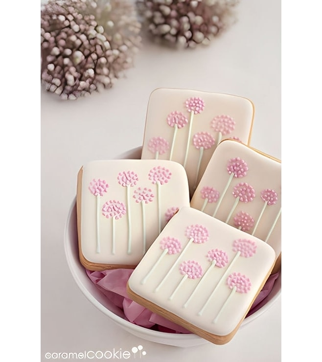 كعكات بوزي الجميلة