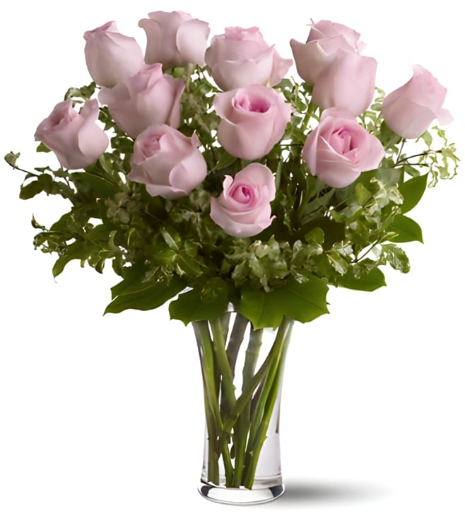 A Dozen Pink Roses, Flowers