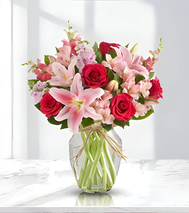 حضن الأم، التسوق عبر الإنترنت في أبوظبي