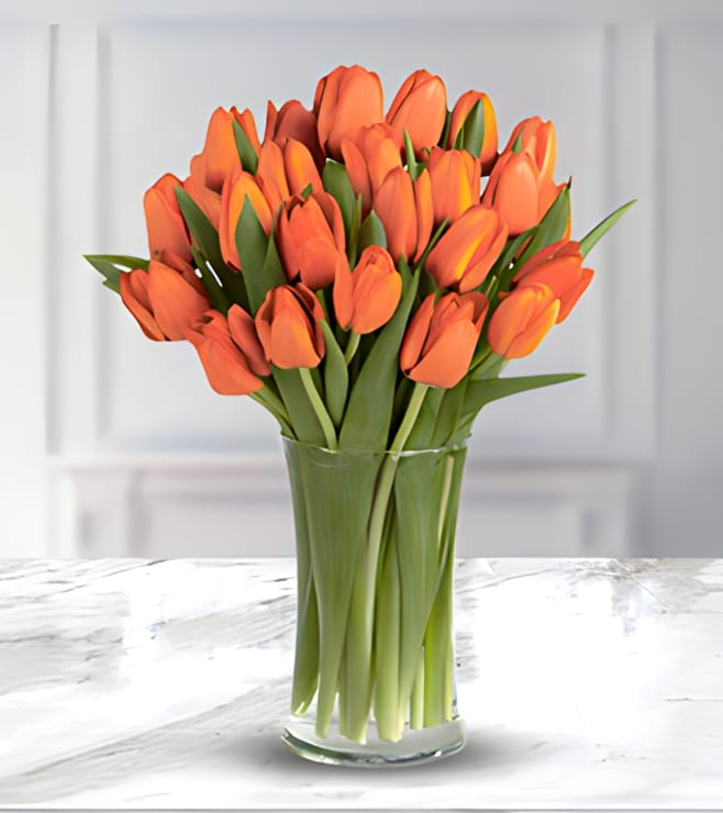 باقة زهور التوليب الخريفية النارية، زهور التوليب