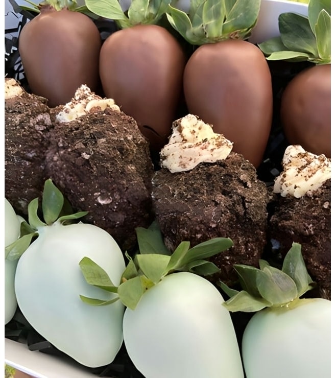 حلوى التوت المغطاة بالشوكولاتة