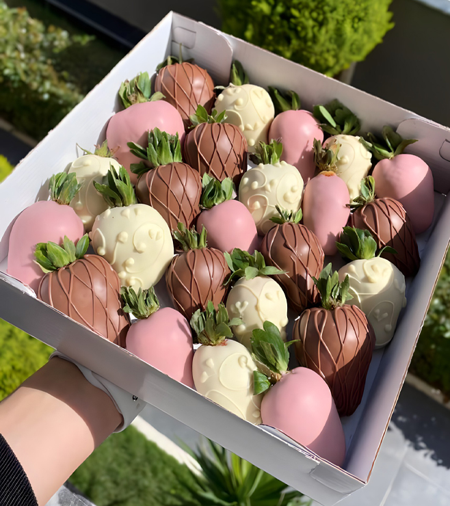 كلاسيك شوكولاتة بيري هارموني