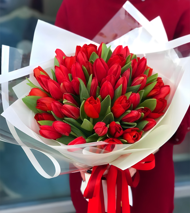 Crimson Glow Tulips, Tulips