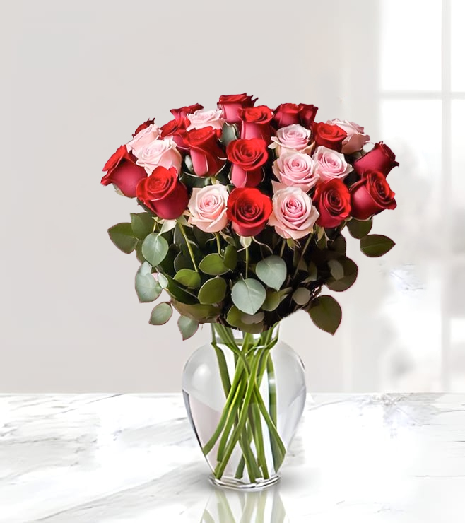 الوردة الساحرة الأنيقة