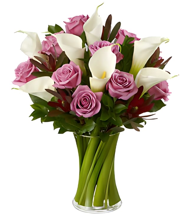 باقة جمال اللافندر، ورود