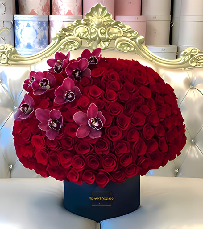 مثالية في صندوق القبعات الأحمر