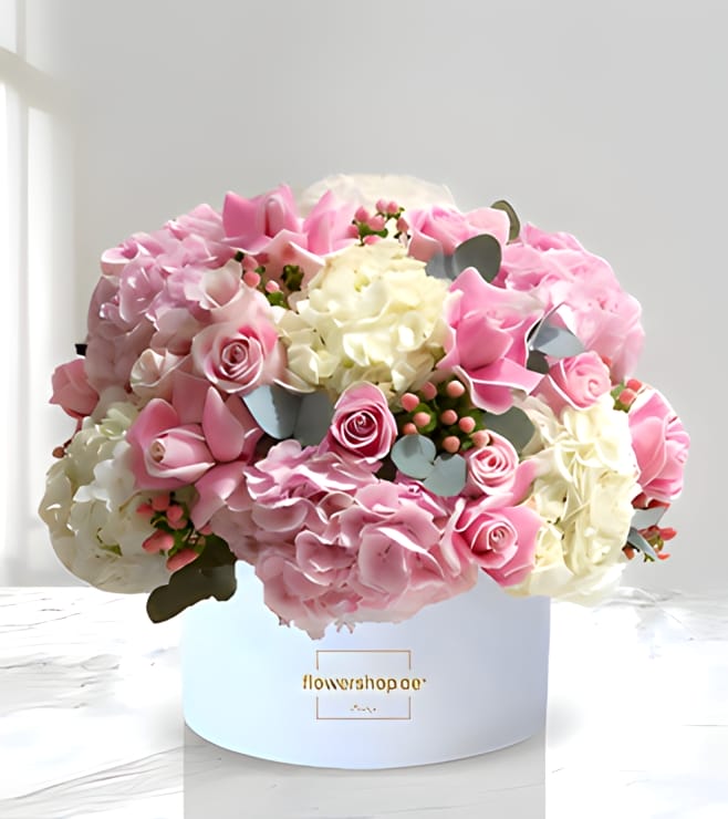 صندوق القبعات الذكريات الجميلة