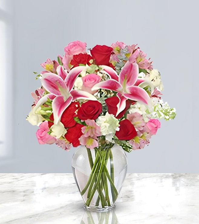 باقة ألوان أنيقة