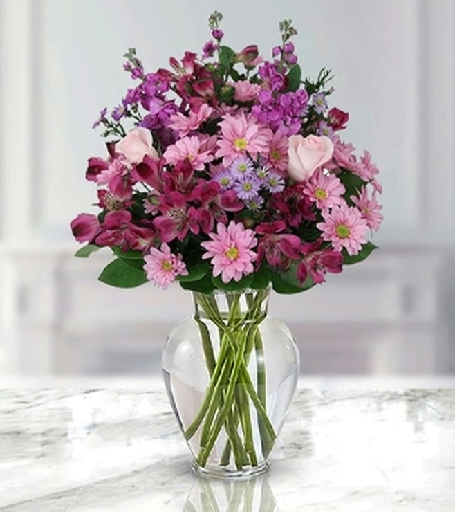 فخامة الحديقة الكبيرة