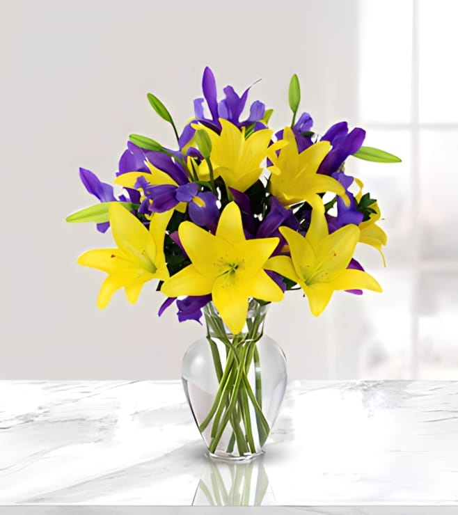 باقة الابتسامات المتناغمة