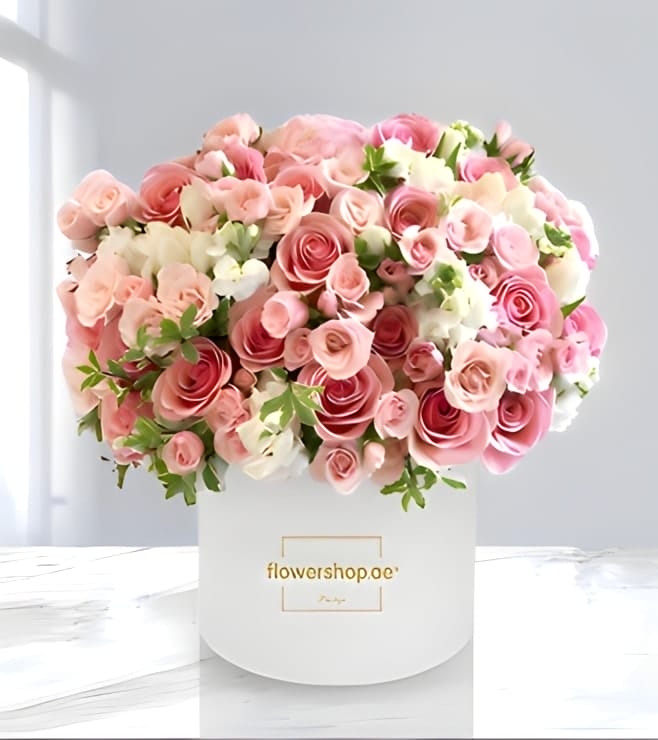 صندوق القبعات العاجز