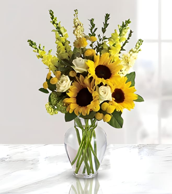 ها هي الشمس تشرق