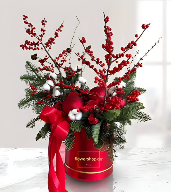 ها هو سانتا قادم باقة