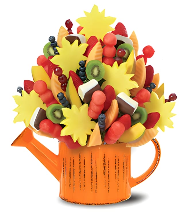 رشة من النضارة