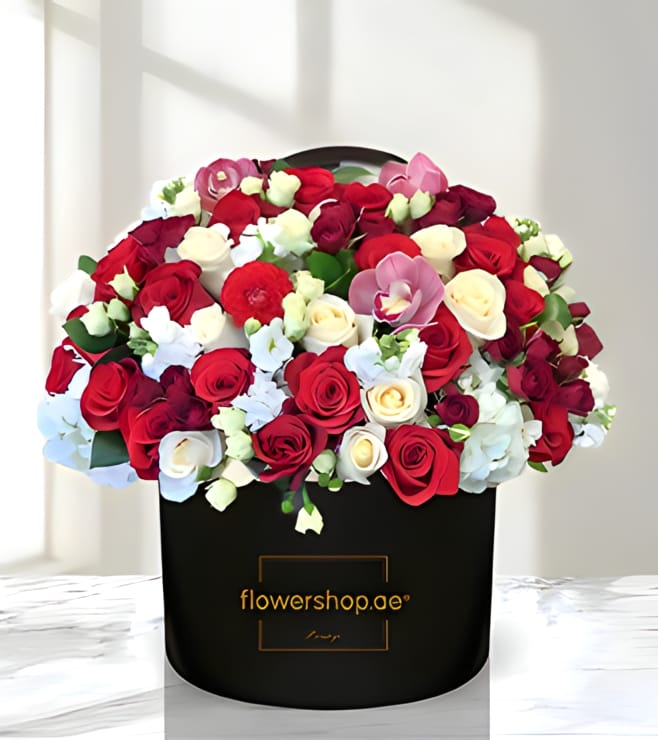 صندوق قبعات Lovely Daydream، عيد ميلاد