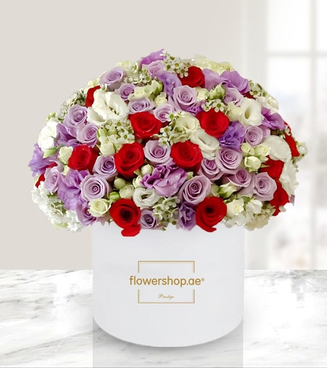 صندوق قبعات واحة سحرية