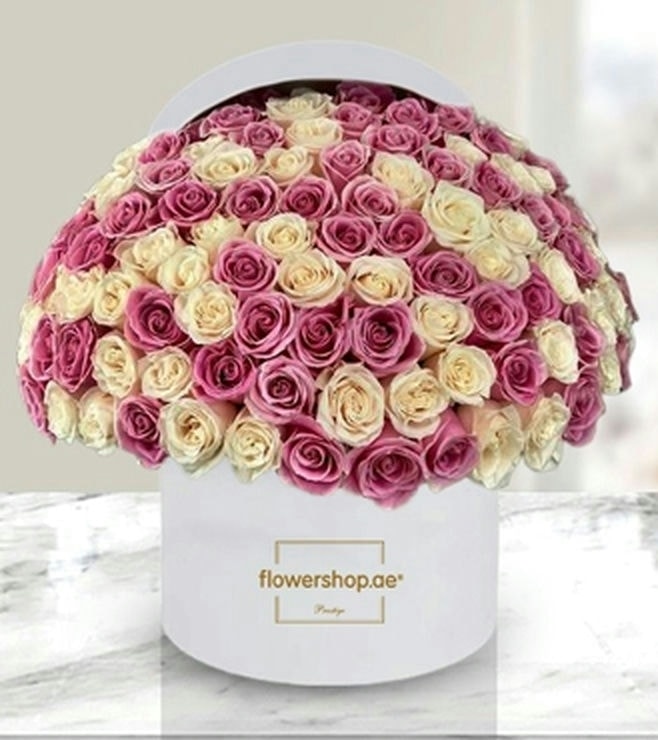 مجموعة الورود المهيبة