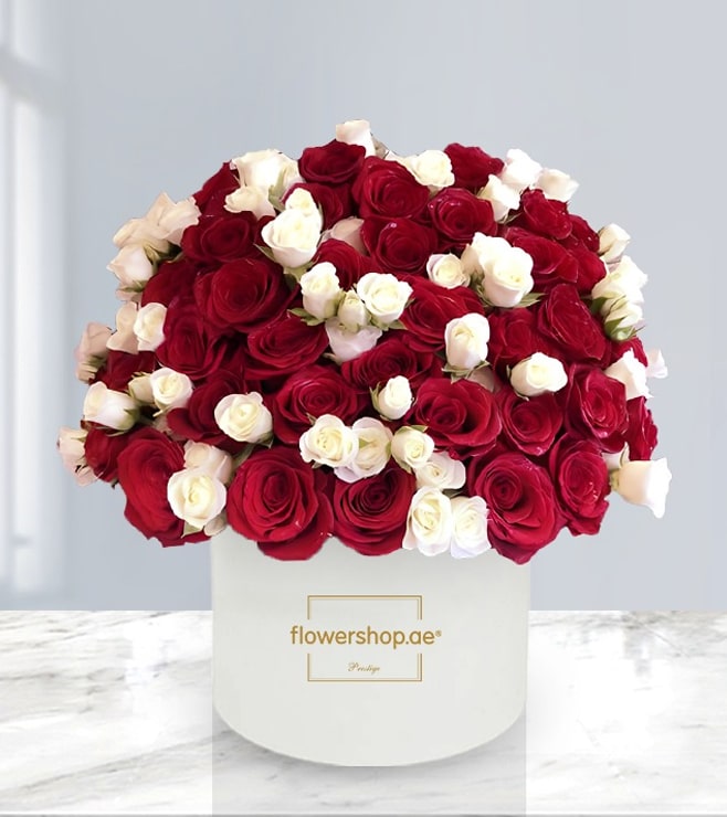 صندوق قبعات الأحلام الساحر