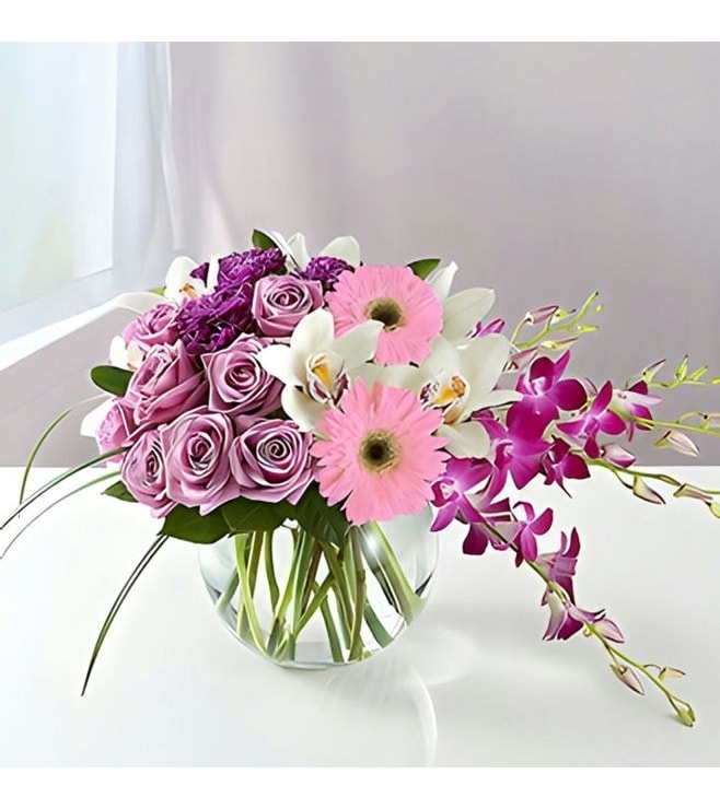 بساطة أنيقة، أوركيد