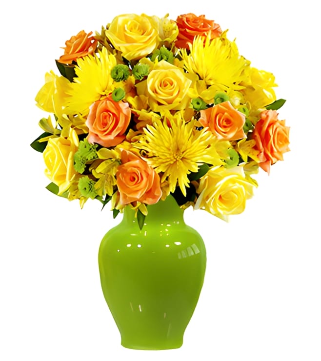 أيام مشمسة فاخرة، تحسن