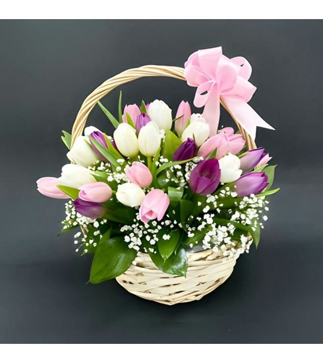 سلة زهور التوليب المطلية بالألوان، زهور التوليب