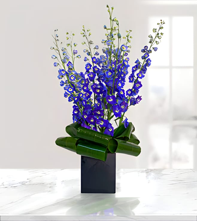 أزهار مائية سلمية