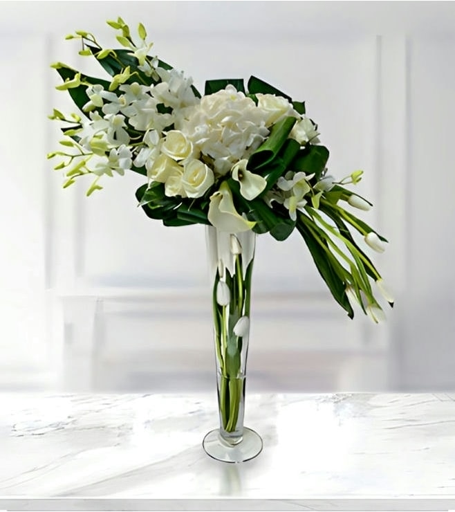 أناقة نقية، أوركيد